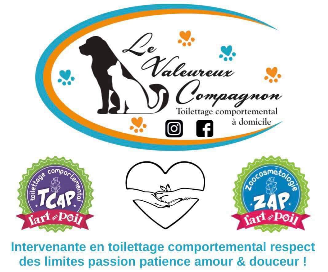 Le Valeureux compagnon