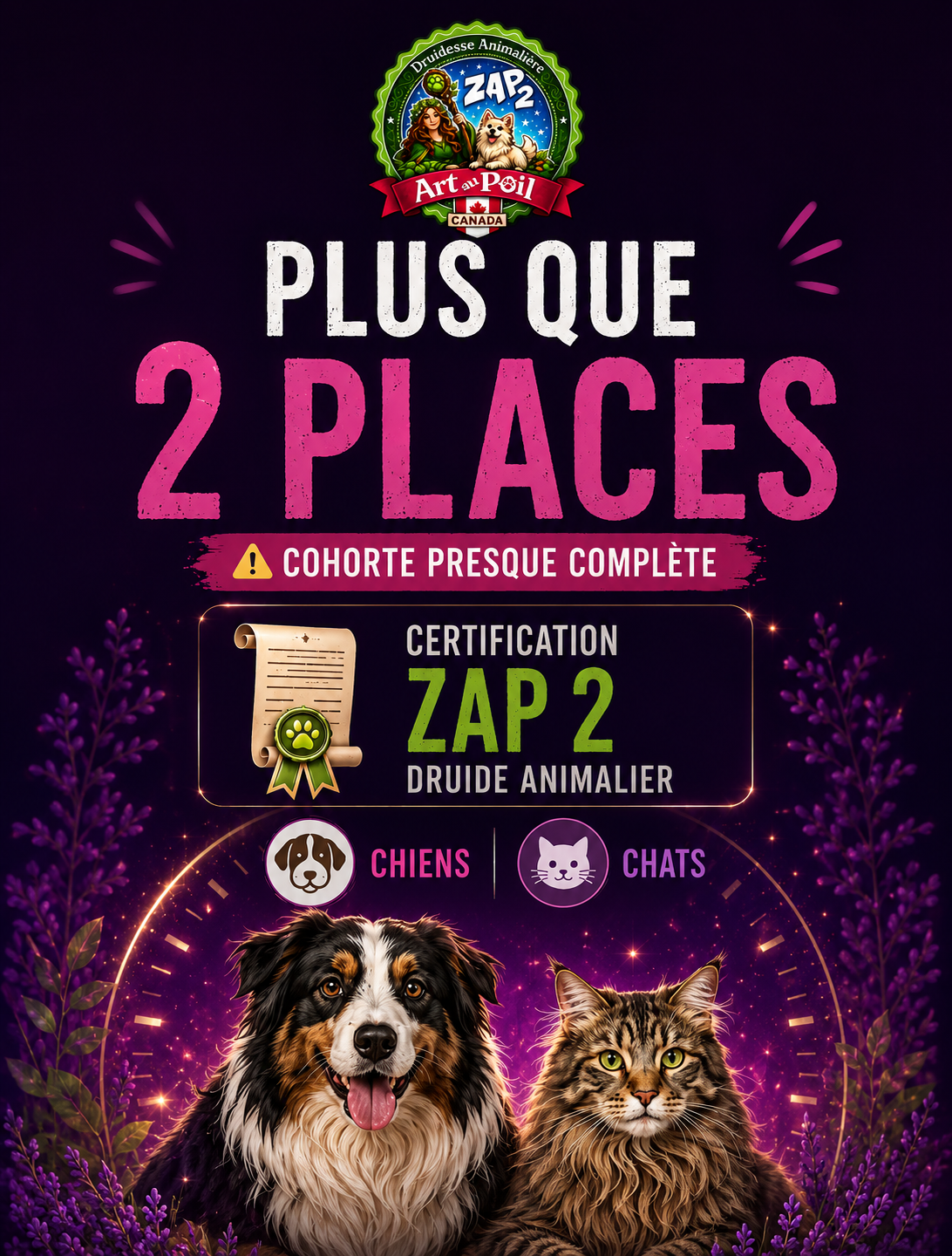 zap 2- 2 places