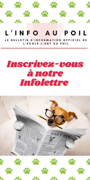 Inscription à notre infolettre 