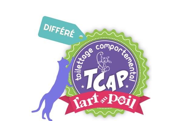 TCAP FÉLINS- Toilettage Comportemental et soins collaboratifs TCAP Module 1