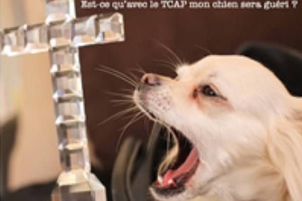 Hallelujah ! Est-ce qu'avec le TCAP mon chien sera guéri ?