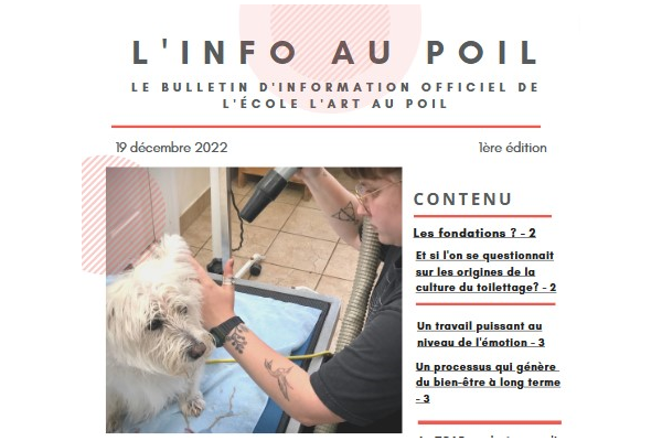 INFOLETTRE n°1